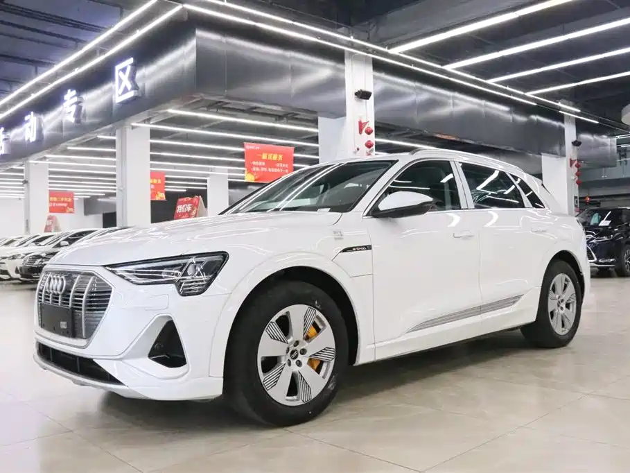 Audi e-tron 2021 50 quattro Luxury