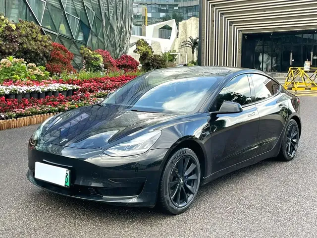 Tesla Model 3 2020 Facelift Standard Range RWD Upgrade
