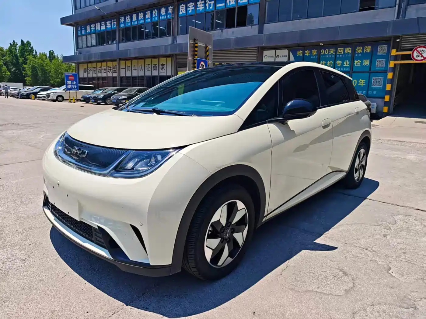 BYD Dolphin 2024 Glory Edition 420km Fashion Edition