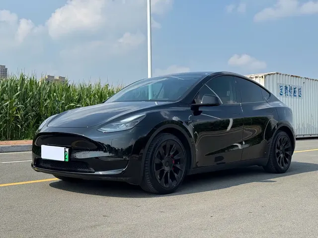 Tesla Model Y 2021 Standard Range Rear-Wheel Drive