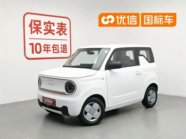 Geely Galaxy Panda 2023 Panda Mini 200km Endurance Bear