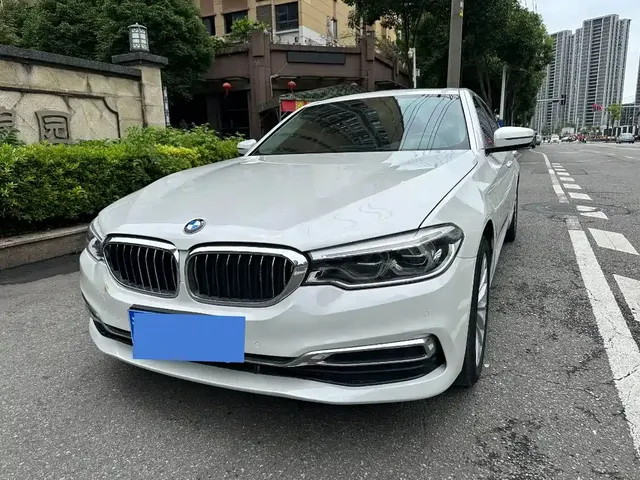BMW 5 Series 2020 530Li xDrive Luxury Package