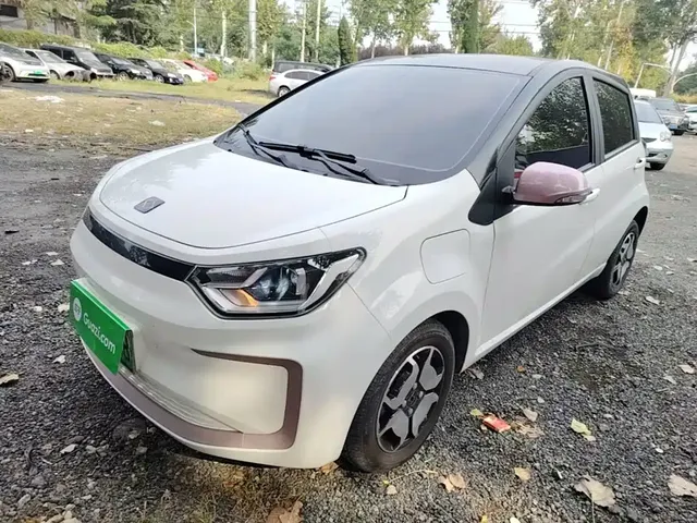 Sehol Flower Fairy 2021 302km Luxury Edition 31.4kWh