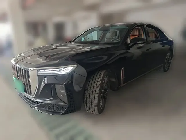 Hongqi H9 2024 2.0T Qi Enjoy Private Fashion Edition