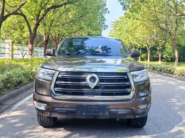 Great Wall Pao 2019 2.0T Automatic Gasoline 2WD Comfort GW4C20B