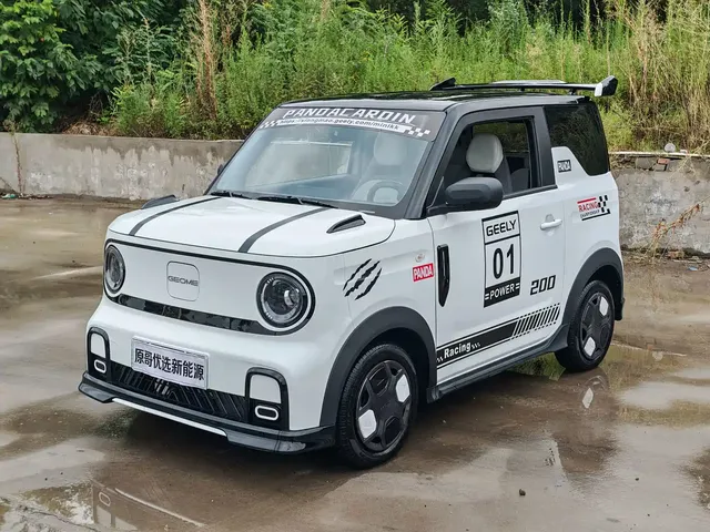 Geely Galaxy Panda 2025 Model Year 210km Panda Kart