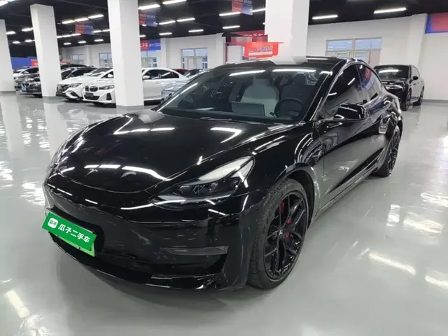 Tesla Model 3 2021 Performance High-Performance All-Wheel Drive