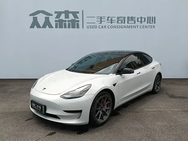Tesla Model 3 2021 Standard Range Rear-Wheel Drive Upgrade 3D6