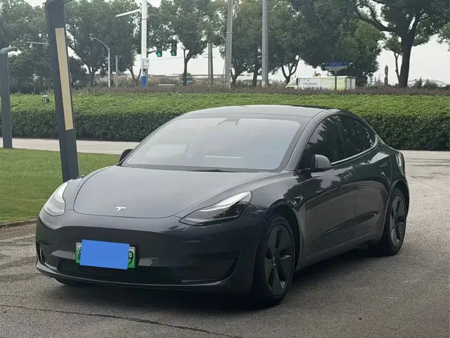 Tesla Model 3 2020 Facelift Standard Range RWD Upgrade