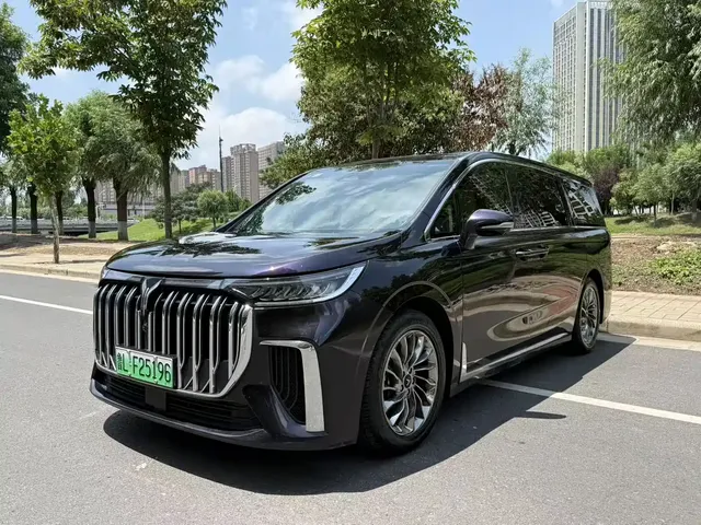 Voyah Auto Voyah Dreamer 2022 Low-carbon Edition Think+Smart Driving Package