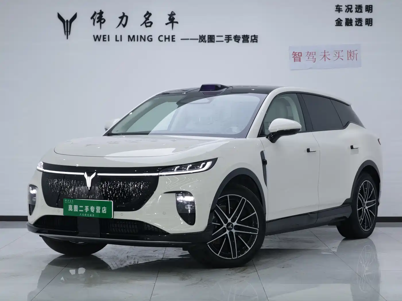 Voyah Auto Voyah Zhiyin 2025 Base