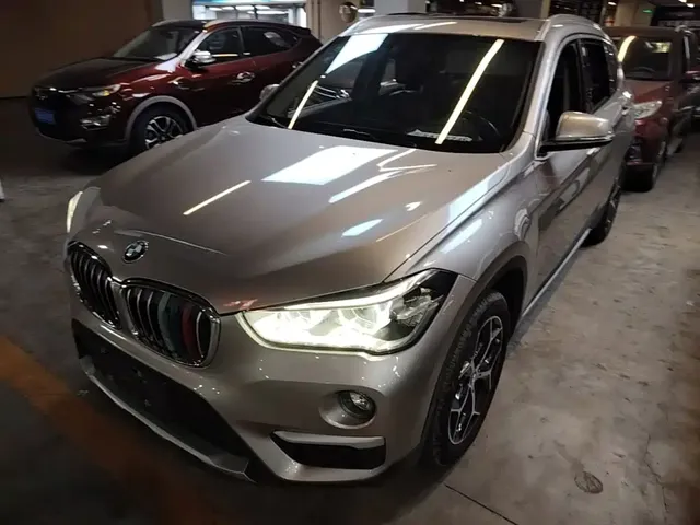BMW X1 2019 xDrive20Li Premium Model