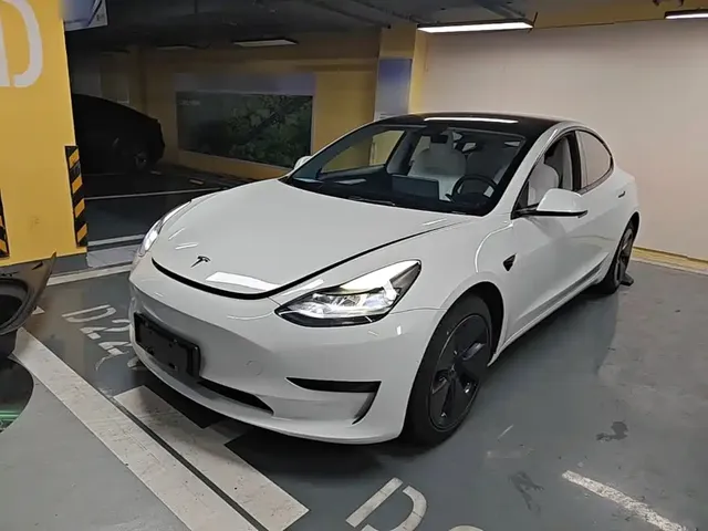 Tesla Model 3 2021 Standard Range Rear-Wheel Drive Upgrade