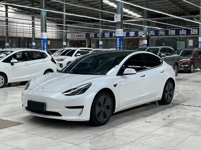 Tesla Model 3 2021 Standard Range Rear-Wheel Drive Upgrade 3D6
