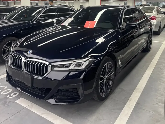 BMW 5 Series 2022 530Li Leading Luxury Package