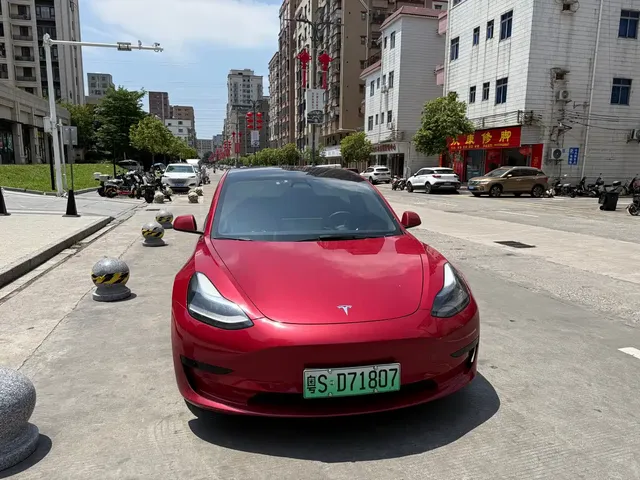 Tesla Model 3 2022 Model Rear-Wheel Drive Version