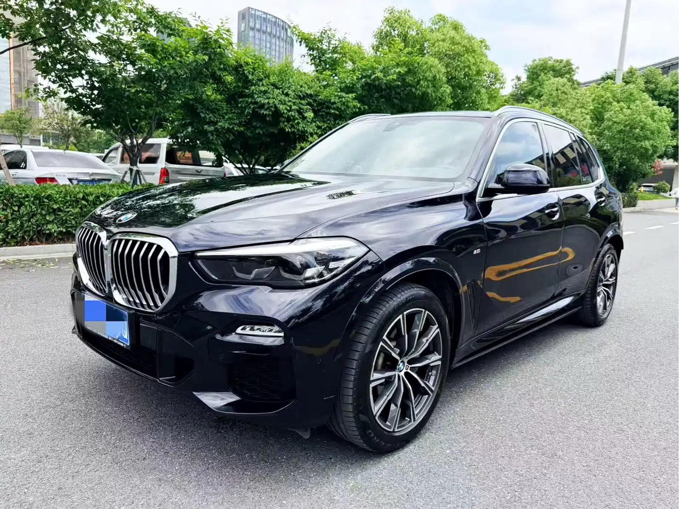 BMW X5 (Import) 2021 xDrive30i M Sport Package