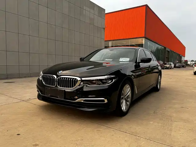 BMW 5 Series 2020 530Li Leading Luxury Package