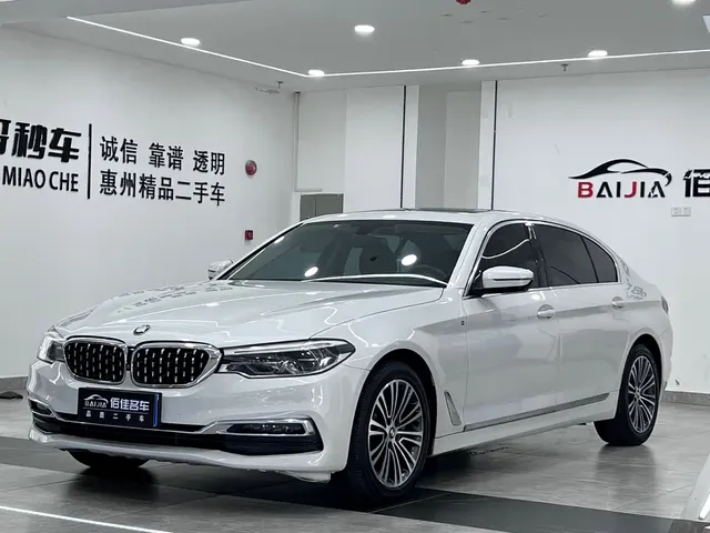 BMW 5 Series 2019 530Li Premium Luxury Package