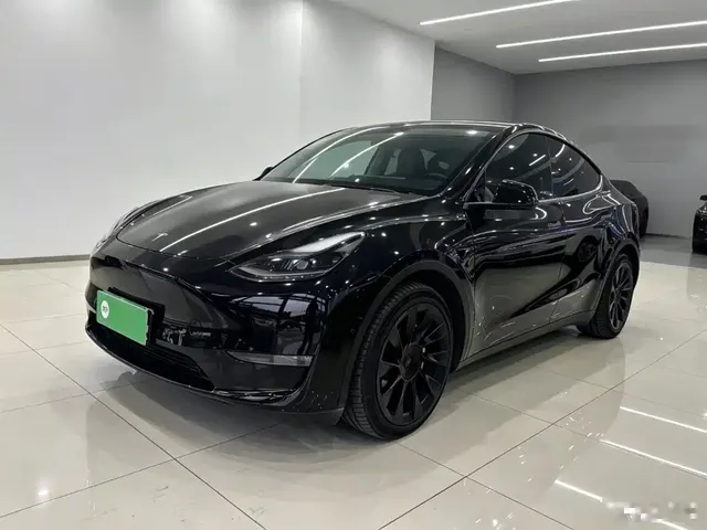 Tesla Model Y 2021 Standard Range Rear-Wheel Drive