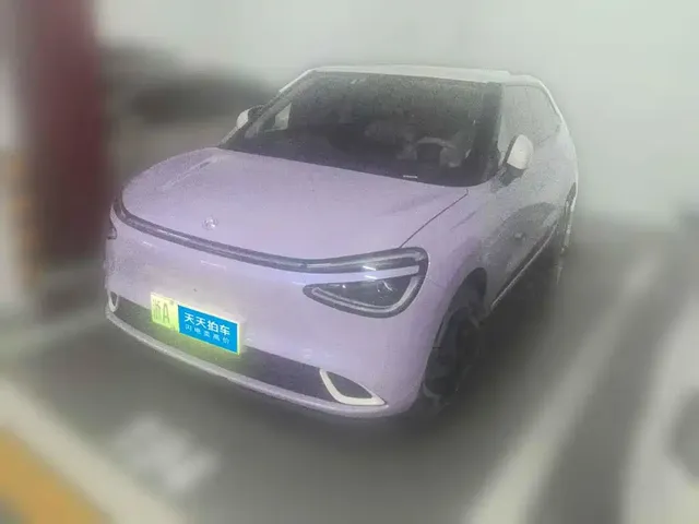 Dongfeng Yipai Nano 01 2024 330 Plus Smart+