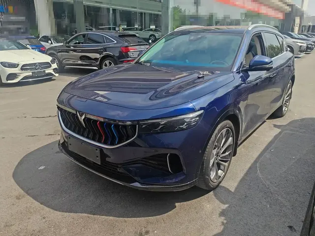 Voyah Auto VOYAH FREE 2021 4WD Extended Range Launch Edition Exclusive Luxury Package