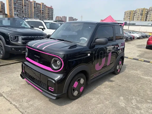 Geely Galaxy Panda 2025 Model Year 210km Panda Kart