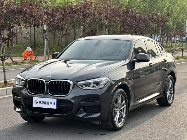 BMW X4 2021 xDrive 25i M Sport Package