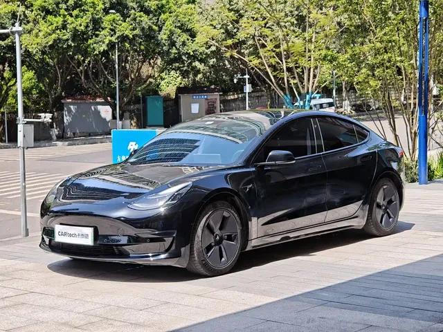 Tesla Model 3 2021 Standard Range Rear-Wheel Drive Upgrade 3D6