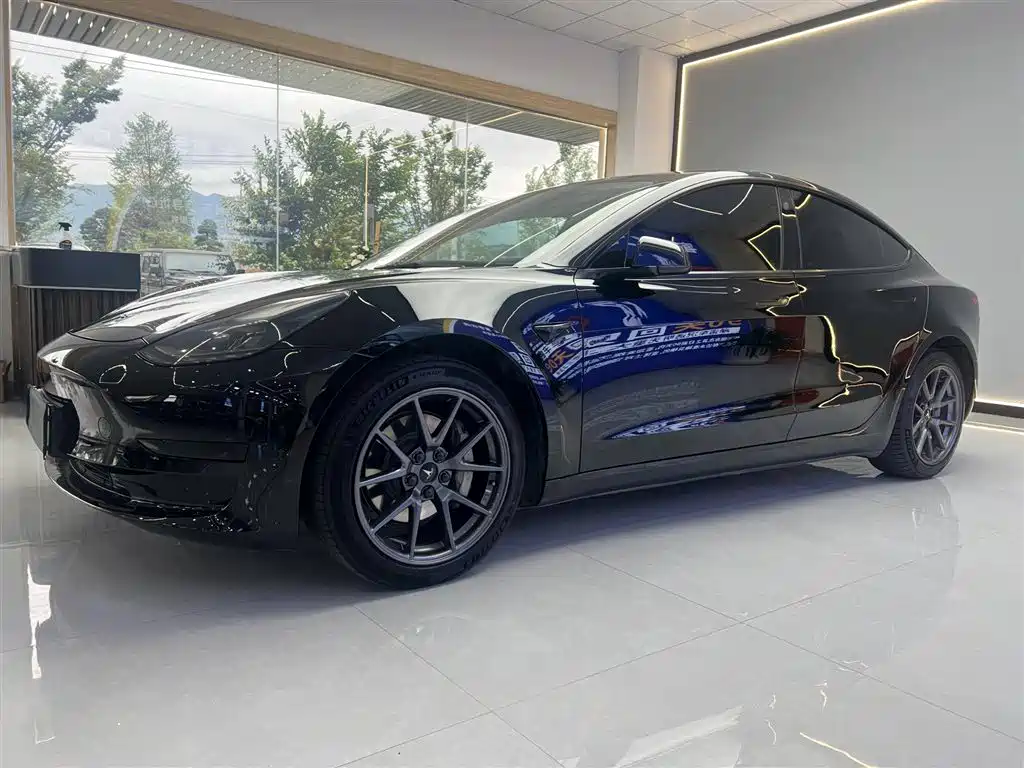 Tesla Model 3 2021 Standard Range Rear-Wheel Drive Upgrade
