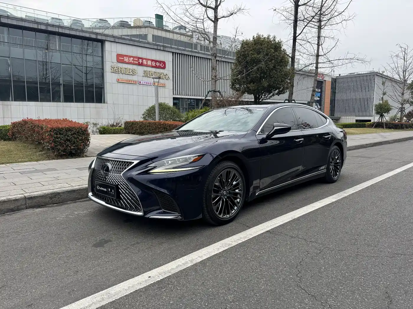 Lexus LS 2020 500h Excellence (China V)