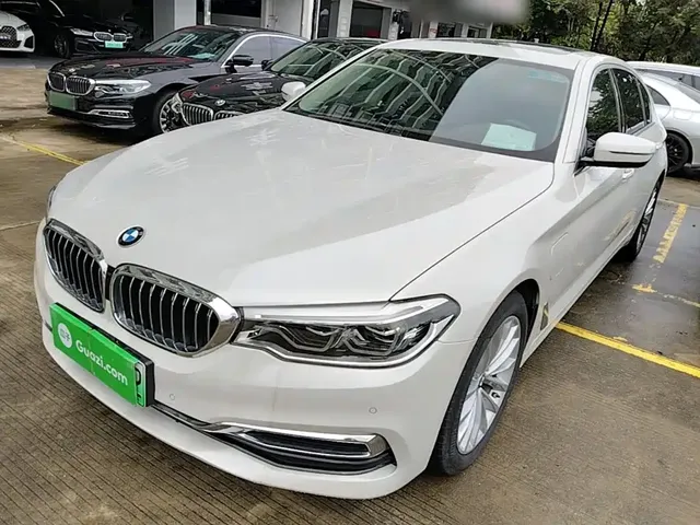 BMW 5 Series New Energy 2020 530Le Range Upgrade Luxury Package