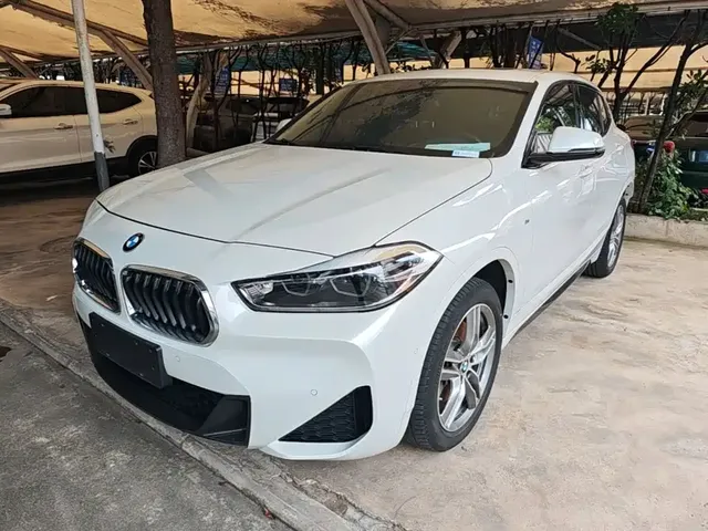 BMW X2 2020 sDrive25i Leading M Sport Package