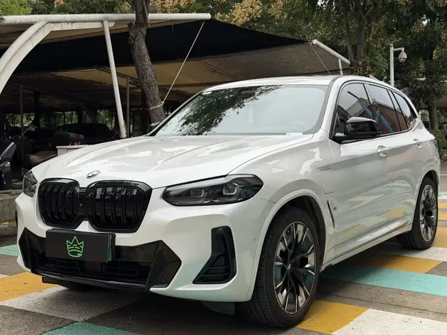 BMW iX3 2023 Pioneer Type