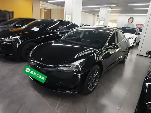 Tesla Model 3 2021 Standard Range Rear-Wheel Drive Upgrade 3D6