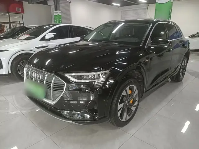 Audi e-tron (Import) 2019 55 quattro Technology