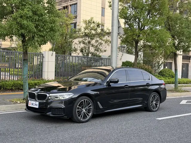 BMW 5 Series 2020 530Li Leading M Sport Package