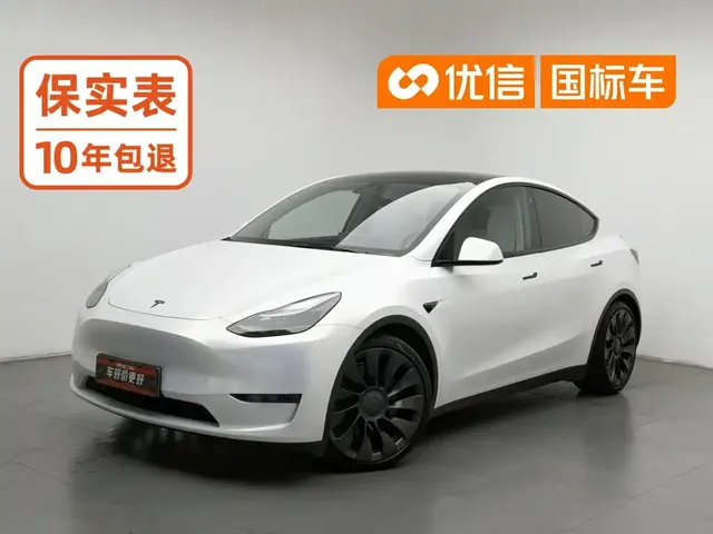 Tesla Model Y 2021 Performance High-Performance AWD