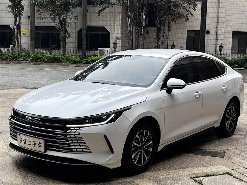BYD Destroyer 05 2024 Glory Edition DM-i 55KM Luxury
