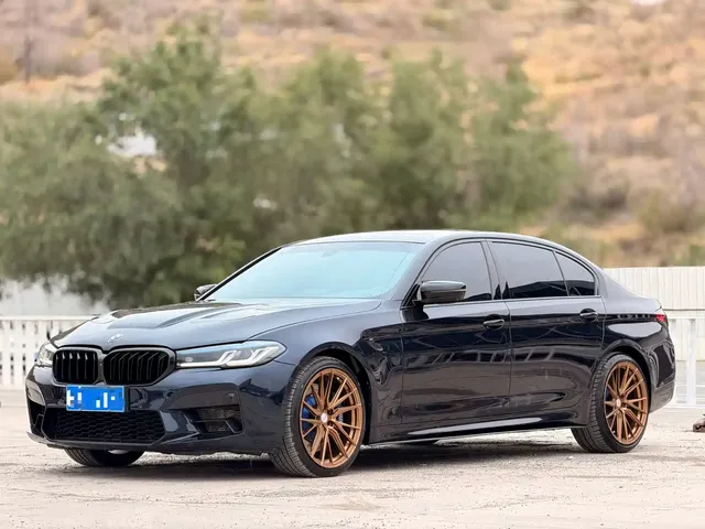 BMW 5 Series 2019 530Li Premium M Sport Package