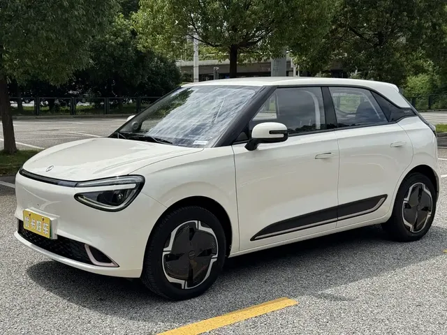 Dongfeng Yipai Nano 01 2024 330 Plus Smart+