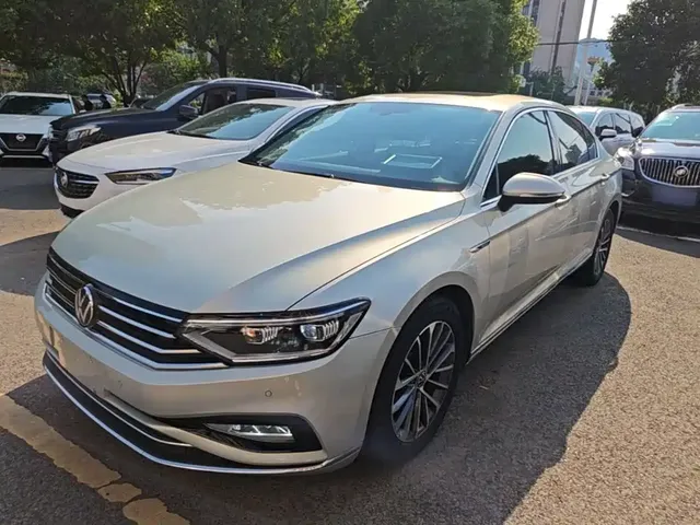Volkswagen Magotan 2020 330TSI DSG Luxury