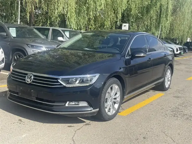 Volkswagen Magotan 2019 330TSI DSG Luxury Class China VI