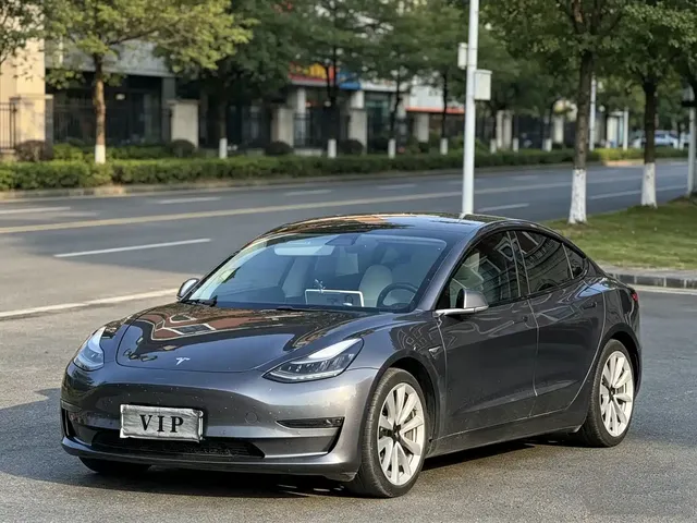 Tesla Model 3 (Import) 2019 Long Range RWD Version