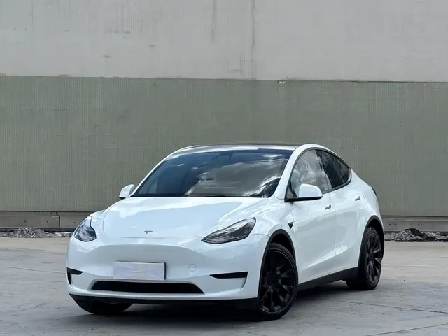 Tesla Model Y 2022 Rear-Wheel Drive Version