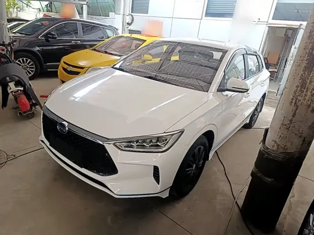 BYD e2 2019 Standard Range Yue·Standard Model