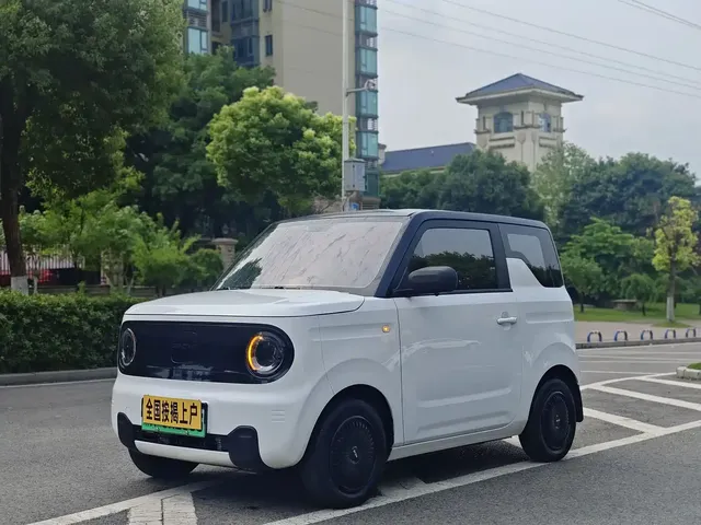 Geely Galaxy Panda 2023 Panda Mini 200km Endurance Bear