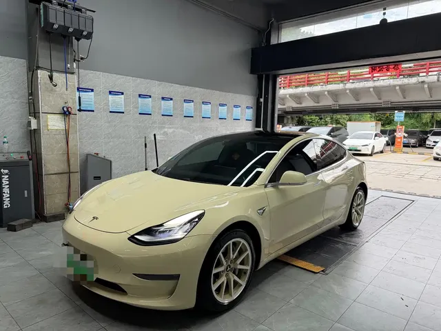 Tesla Model 3 (Import) 2019 Long Range RWD Version