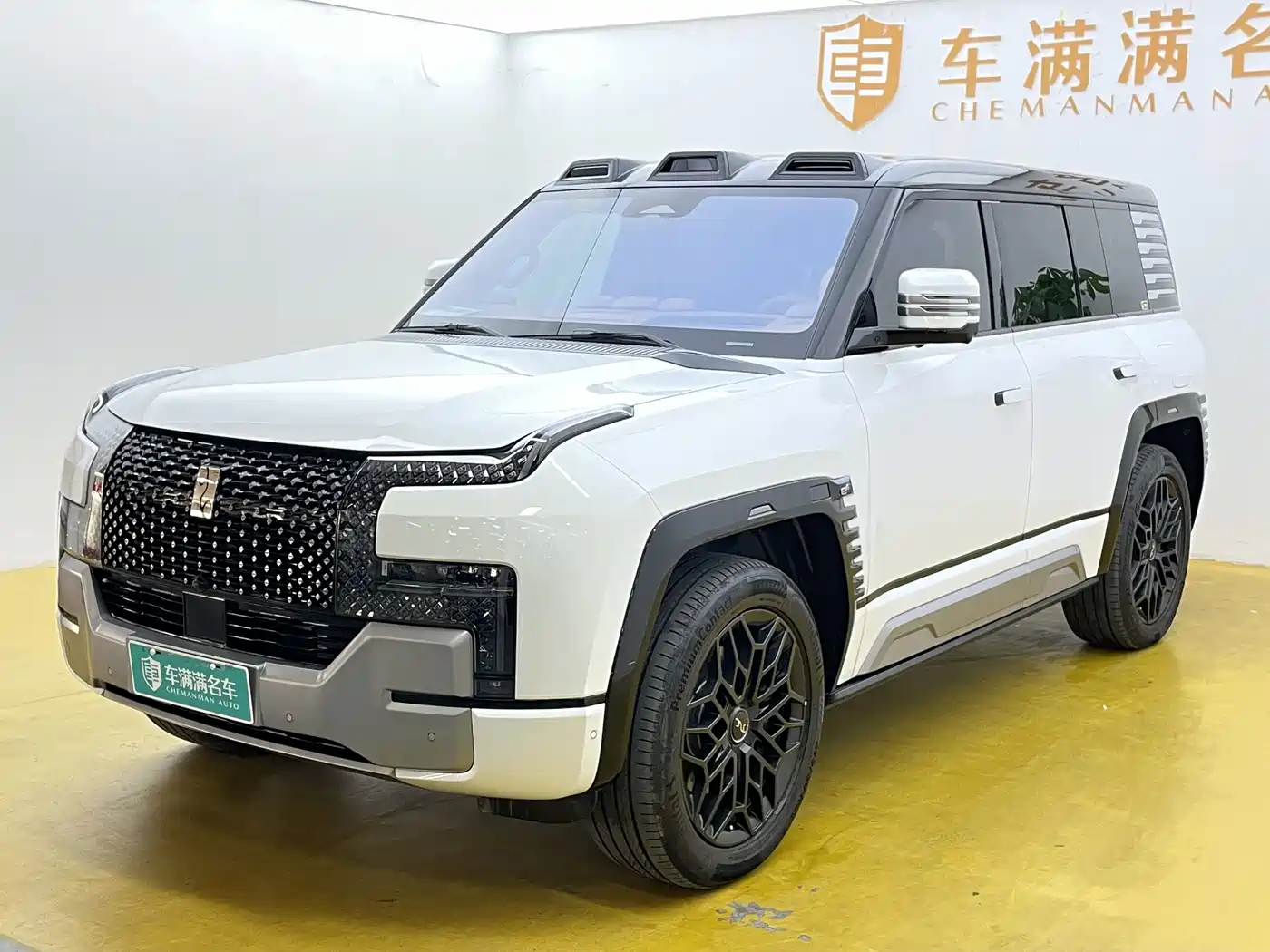 Yangwang U8 2023 Luxury Edition