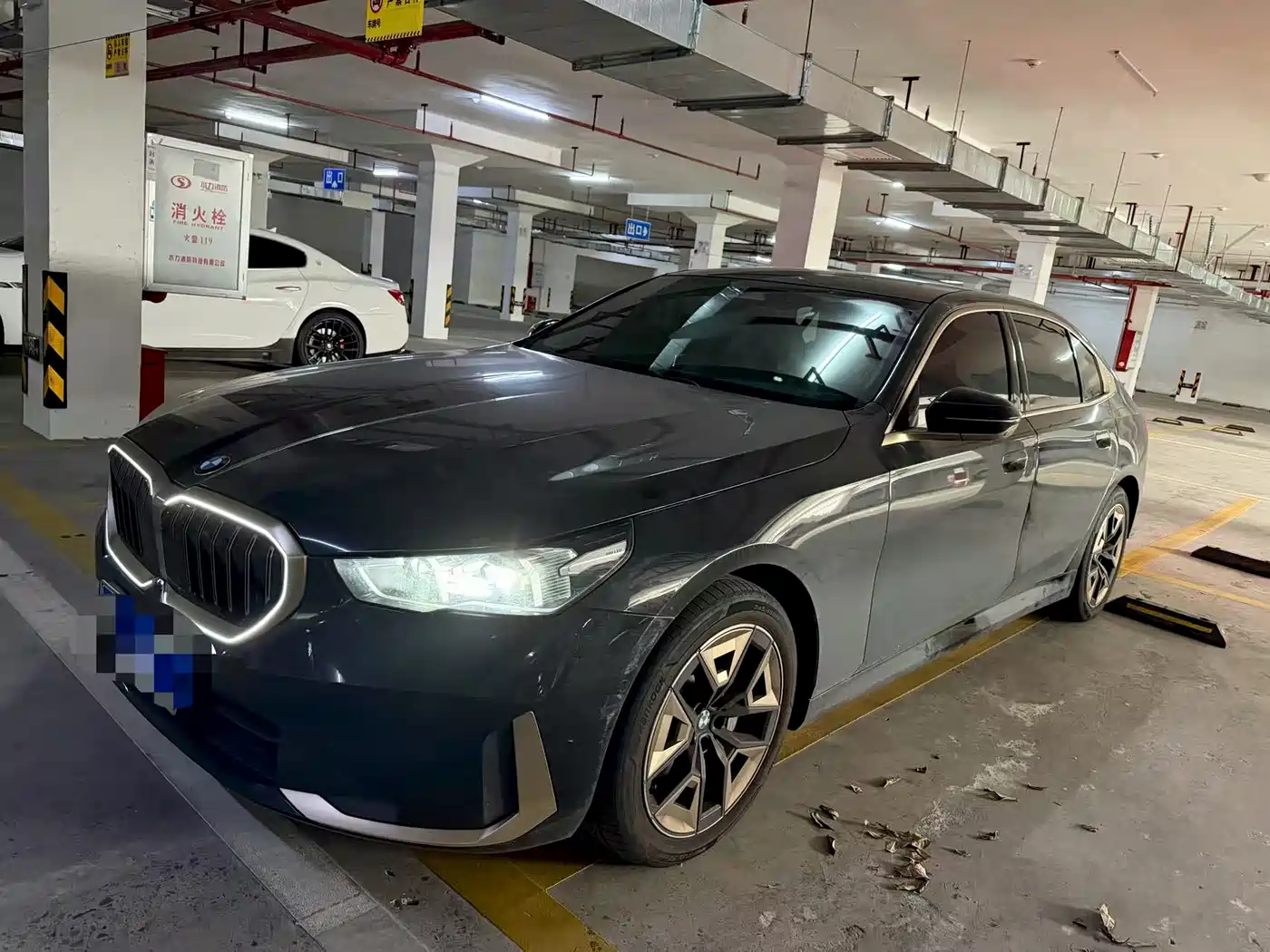BMW 5 Series 2024 530Li Leading Model Luxury Package